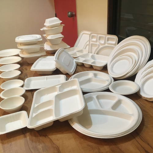 Greenvale Eco Products Compostable, Biodegradable Tableware